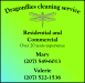 Dragonflies Cleaning Service