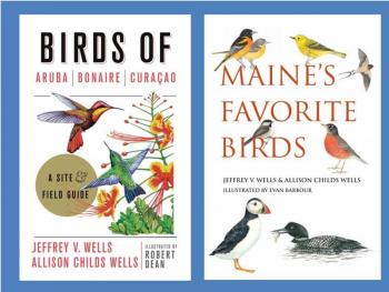 #bird-column, #birds, #Jeff-and-Allison-Wells. #boothbay-register, #maine, #Wiscasset-Newsapaper, #roseate-tern, 