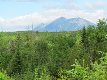 #bird-column, #jeff-and-allison-wells, #Boothbay-Register, #birds, #maine, #katahdin-woods-and-waters-national-monument