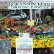 Goranson's stand is one of the most popular at the market. SUZI THAYER/Boothbay Register