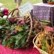 Some of the fresh local vegetables at the Boothbay Farmers Market. SUZI THAYER/Boothbay Register