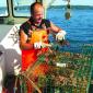 Mike Lewis of East Boothbay lobstering on the Victoria's Secret