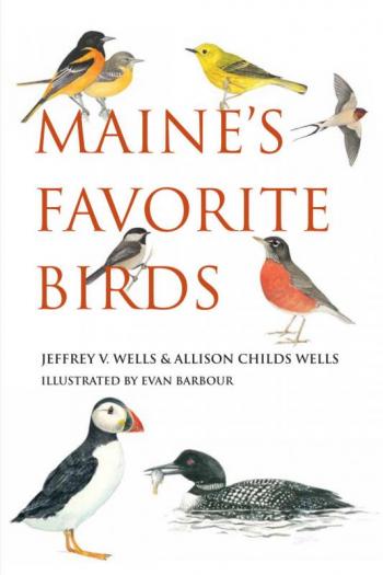 #bird-column, #boothbay-register, #maine’s-favorite-birds, #Birds-of-Maine, #holiday-gifts, #jeff-and-allison-wells