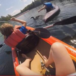 Common loon, rescue, Maine, lake, GoPro