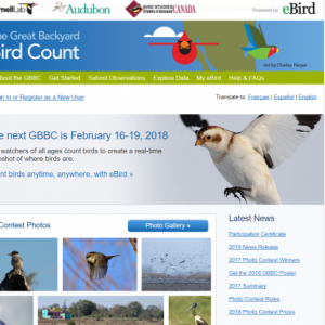 Great Backyard Bird Count, Boothbay Register, Cornell, Aubudon