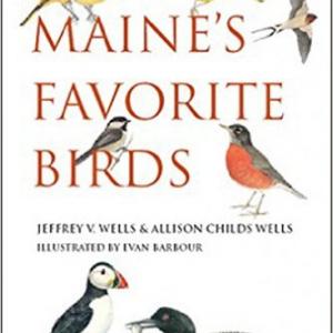 #bird-column, #Jeff-and-Allison-Wells