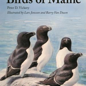 #bird-column, #boothbay-register, #Jeff-and-Allison-Wells, #maine, #birds, #birds-of-Maine