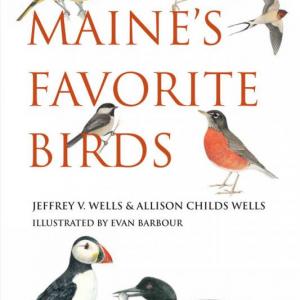 #bird-column, #boothbay-register, #maine’s-favorite-birds, #Birds-of-Maine, #holiday-gifts, #jeff-and-allison-wells